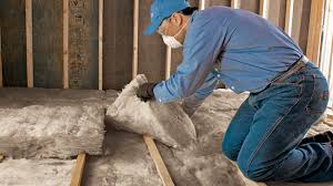 Best Eco-Friendly or Green Insulation Solutions  in Phoenix, NY